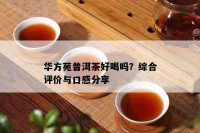 华方苑普洱茶好喝吗？综合评价与口感分享