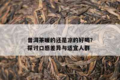 普洱茶暖的还是凉的好喝？探讨口感差异与适宜人群