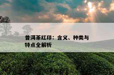 普洱茶红印：含义、种类与特点全解析