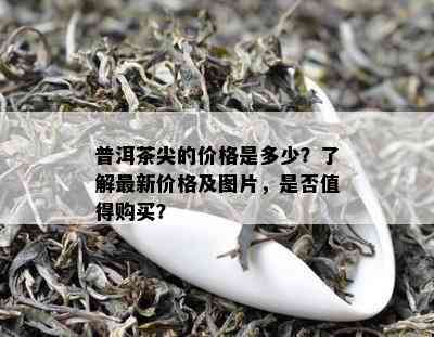 普洱茶尖的价格是多少？熟悉最新价格及图片，是不是值得购买？