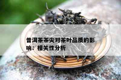 普洱茶茶尖对茶叶品质的作用：相关性分析