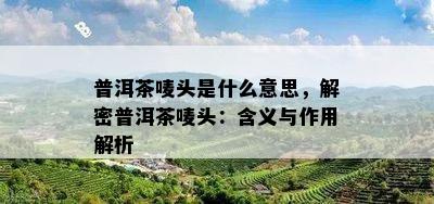 普洱茶唛头是什么意思，解密普洱茶唛头：含义与作用解析