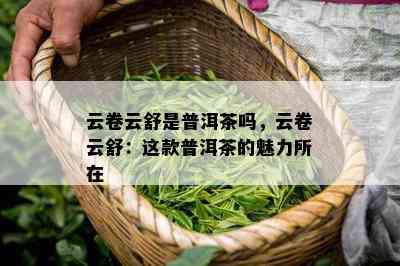 云卷云舒是普洱茶吗，云卷云舒：这款普洱茶的魅力所在