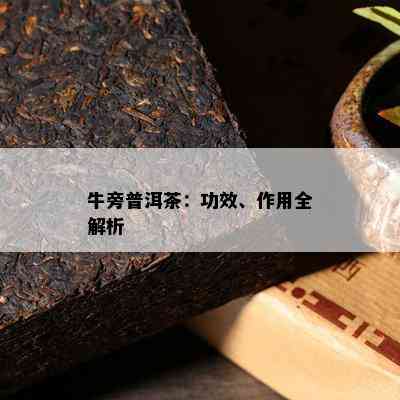 牛旁普洱茶：功效、作用全解析