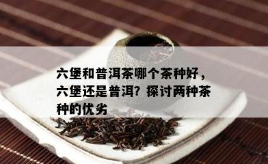 六堡和普洱茶哪个茶种好，六堡还是普洱？探讨两种茶种的优劣