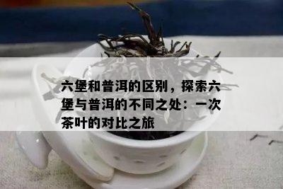 六堡和普洱的区别，探索六堡与普洱的不同之处：一次茶叶的对比之旅