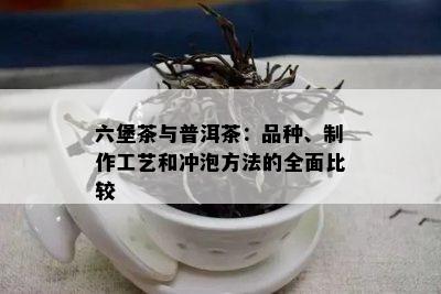 六堡茶与普洱茶：品种、制作工艺和冲泡方法的全面比较