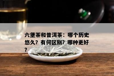 六堡茶和普洱茶：哪个历史悠久？有何区别？哪种更好？