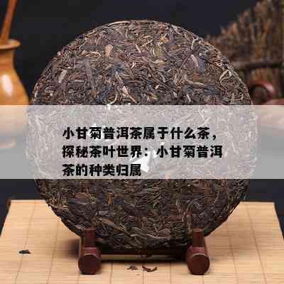 小甘菊普洱茶属于什么茶，探秘茶叶世界：小甘菊普洱茶的种类归属