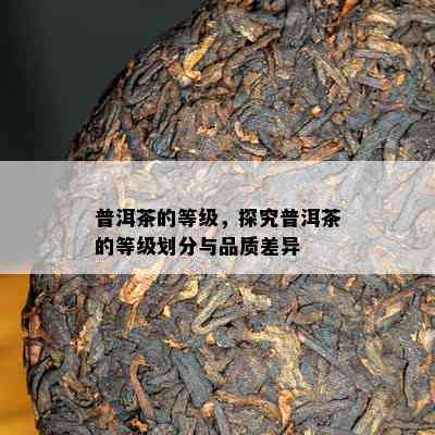 普洱茶的等级，探究普洱茶的等级划分与品质差异