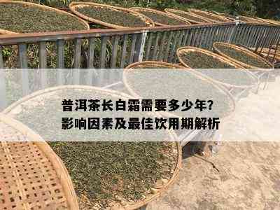 普洱茶长白霜需要多少年？作用因素及更佳饮用期解析