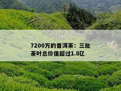 7200万的普洱茶：三批茶叶总价值超过1.8亿