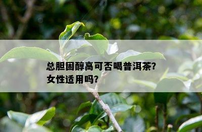 总胆固醇高可否喝普洱茶？女性适用吗？