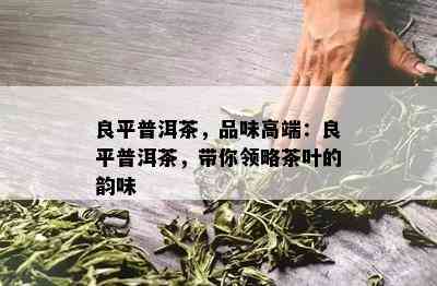 良平普洱茶，品味高端：良平普洱茶，带你领略茶叶的韵味