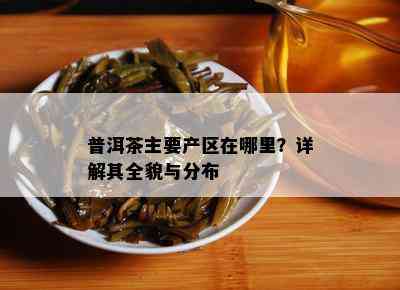 普洱茶主要产区在哪里？详解其全貌与分布