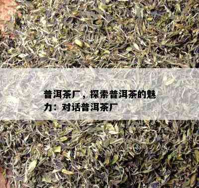 普洱茶厂，探索普洱茶的魅力：对话普洱茶厂