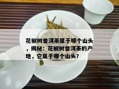 花椒树普洱茶属于哪个山头，揭秘：花椒树普洱茶的产地，它属于哪个山头？