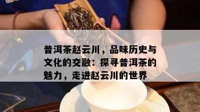 普洱茶赵云川，品味历史与文化的交融：探寻普洱茶的魅力，走进赵云川的世界