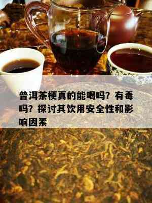 普洱茶梗真的能喝吗？有吗？探讨其饮用安全性和影响因素