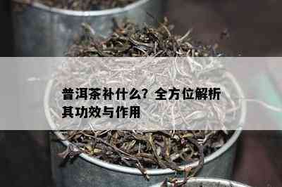 普洱茶补什么？全方位解析其功效与作用