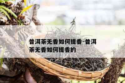 普洱茶无香怎样提香-普洱茶无香怎样提香的