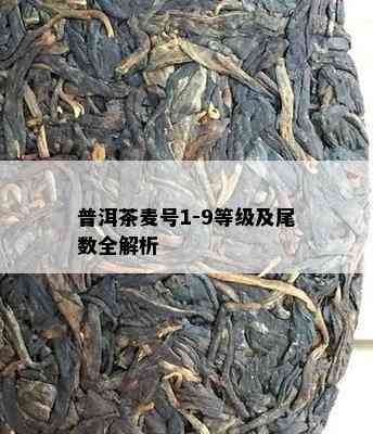 普洱茶麦号1-9等级及尾数全解析