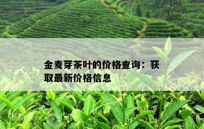 金麦芽茶叶的价格查询：获取最新价格信息