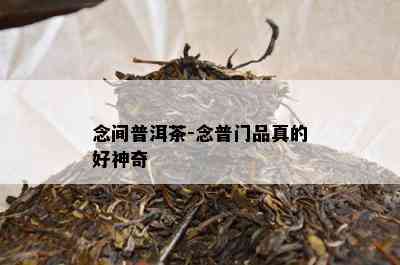 念间普洱茶-念普门品真的好神奇