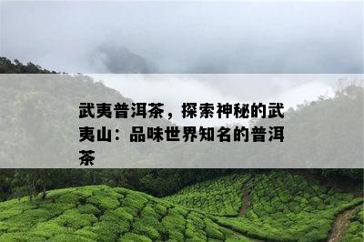 武夷普洱茶，探索神秘的武夷山：品味世界知名的普洱茶