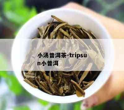 小汤普洱茶-tripsun小普洱