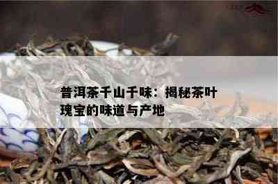 普洱茶千山千味：揭秘茶叶瑰宝的味道与产地