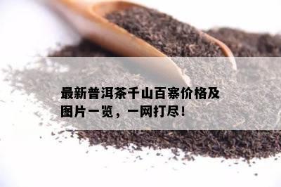 最新普洱茶千山百寨价格及图片一览，一网打尽！