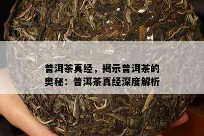 普洱茶真经，揭示普洱茶的奥秘：普洱茶真经深度解析