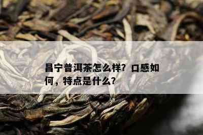 昌宁普洱茶怎么样？口感怎样，特点是什么？