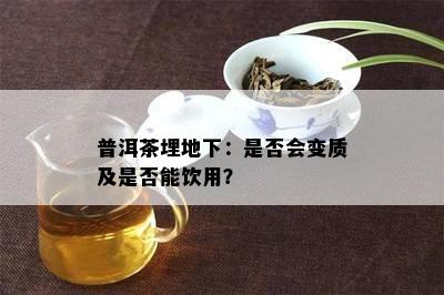 普洱茶埋地下：是不是会变质及是不是能饮用？