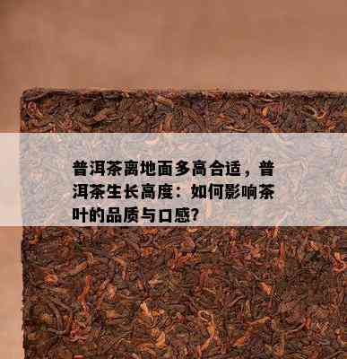 普洱茶离地面多高合适，普洱茶生长高度：怎样作用茶叶的品质与口感？