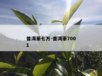 普洱茶七万-普洱茶7001