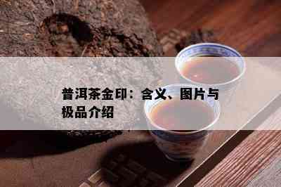 普洱茶金印：含义、图片与极品介绍