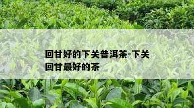 回甘好的下关普洱茶-下关回甘更好的茶