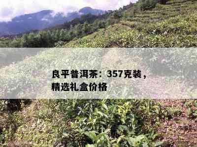 良平普洱茶：357克装，精选礼盒价格