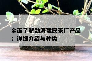 全面熟悉勐海建民茶厂产品：详细介绍与种类