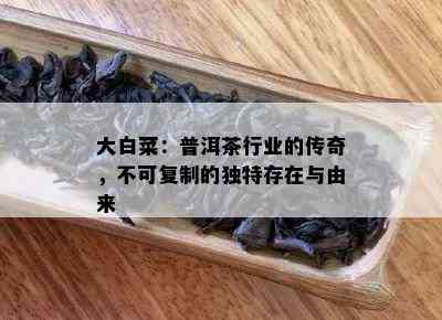 大白菜：普洱茶行业的传奇，不可复制的特别存在与由来