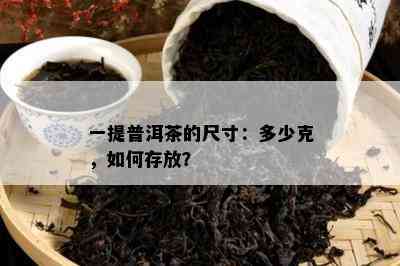 一提普洱茶的尺寸：多少克，如何存放？