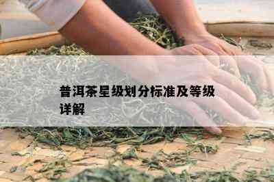 普洱茶星级划分标准及等级详解