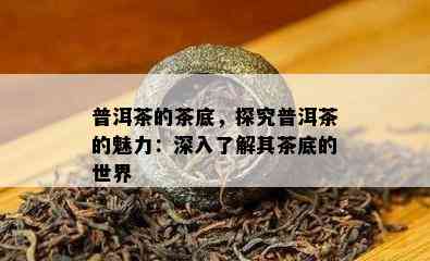 普洱茶的茶底，探究普洱茶的魅力：深入了解其茶底的世界