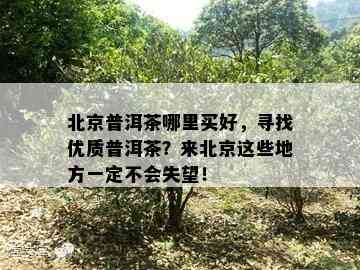 北京普洱茶哪里买好，寻找优质普洱茶？来北京这些地方一定不会失望！