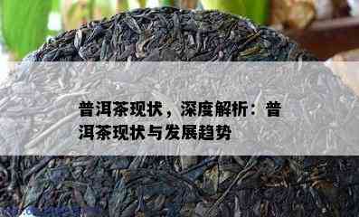 普洱茶现状，深度解析：普洱茶现状与发展趋势