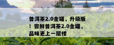 普洱茶2.0金罐，升级版！尝鲜普洱茶2.0金罐，品味更上一层楼