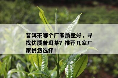 普洱茶哪个厂家质量好，寻找优质普洱茶？推荐几家厂家供您选择！