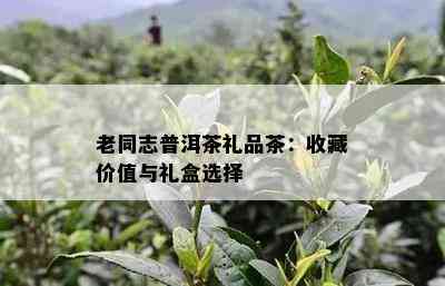 老同志普洱茶礼品茶：收藏价值与礼盒选择